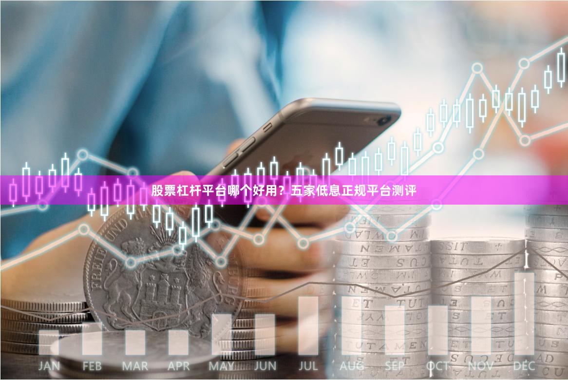 股票杠杆平台哪个好用？五家低息正规平台测评